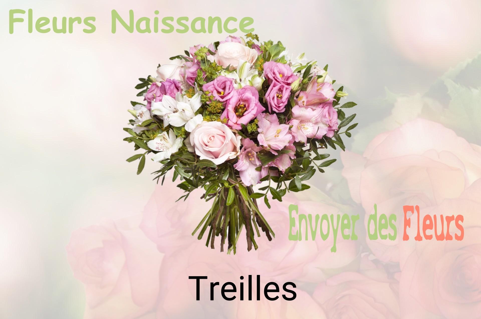 Bouquet de fleurs de naissance livré à Treilles