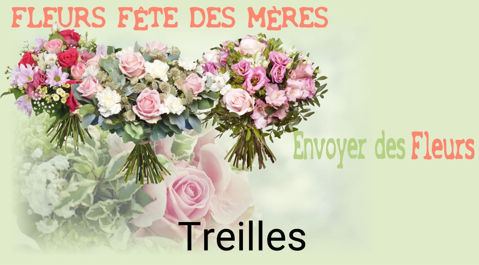 Bouquet de Fête des Mères livré à Treilles